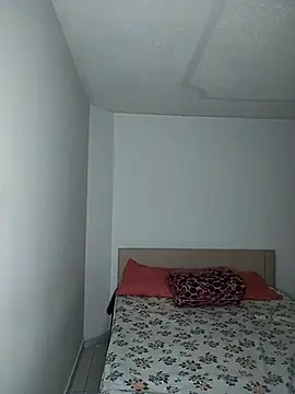 pamela 08 online show from 11, 1, 2026