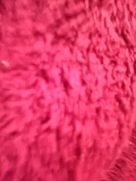 gatitachula93 online show from 12, 3, 2026