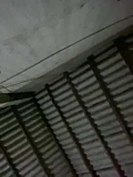 Lilik2 online show from 5, 3, 2026