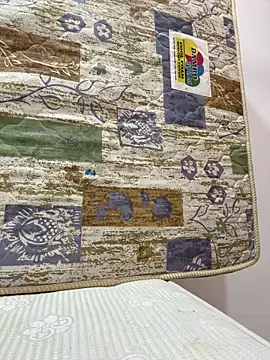 Dahan99346 online show from 20, 12, 2025