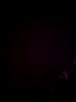 ninasex1995 online show from 1, 12, 2025