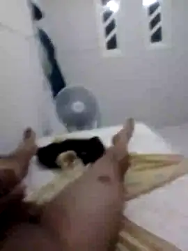 casallmaravilha online show from 26, 2, 2026