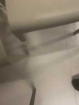 andresbale online show from 14, 2, 2026