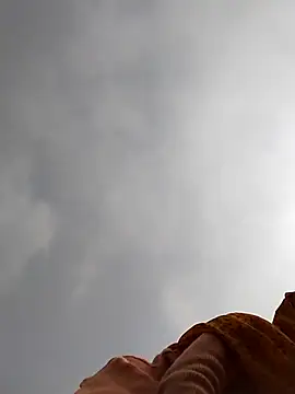 Chetna sharma online show from 9, 1, 2026