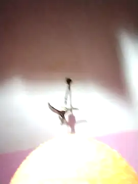 Chetna sharma online show from 16, 12, 2025