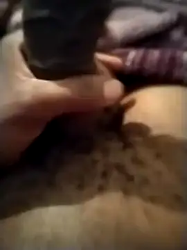 Piazza21 online show from 17, 12, 2025