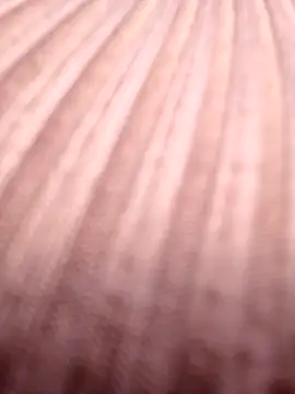 Hailey 1-2 online show from 3, 12, 2025