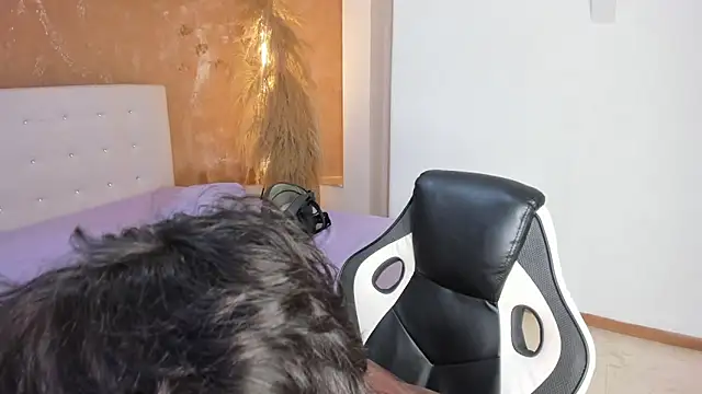 CONNOR STONNE  online show from 8, 3, 2026