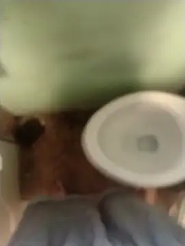 bigjohnson2914 online show from 13, 3, 2026