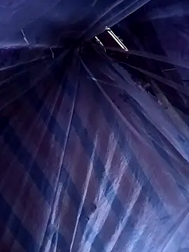 ava-dellght online show from 14, 4, 2026