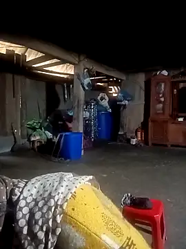 ava-dellght online show from 4, 2, 2026