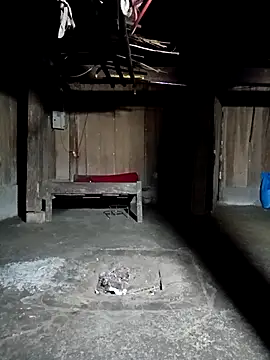 ava-dellght online show from 20, 3, 2026