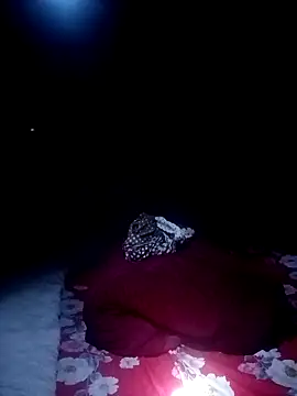 ava-dellght online show from 28, 3, 2026