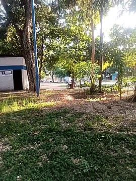 Mchljjk online show from 5, 1, 2026