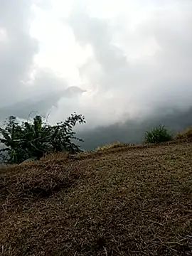 sary-hot2x online show from 25, 3, 2026