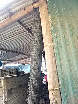 Snapshot of sary-hot2x chatting on 1, 3, 2026 sary-hot2x online show from 1, 3, 2026