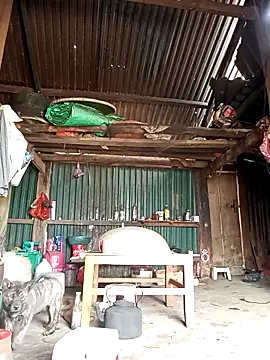 sary-hot2x online show from 26, 3, 2026