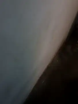 CurbingViper online show from 14, 2, 2026