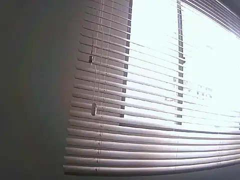 Fernanda andrew online show from 25, 3, 2026