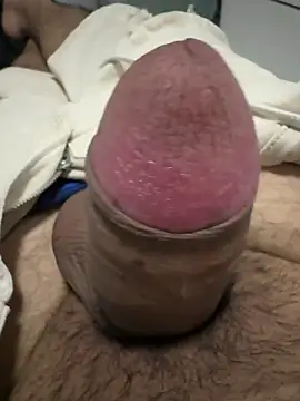 picachux online show from 26, 4, 2026