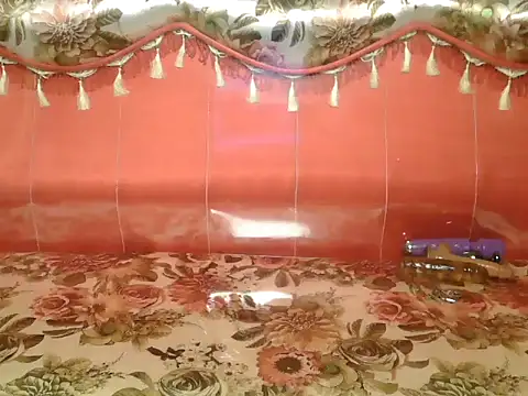 Bristi 03 online show from 19, 2, 2026