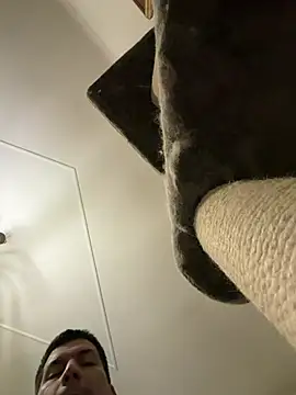 CharlyAlfa22 online show from 11, 2, 2026