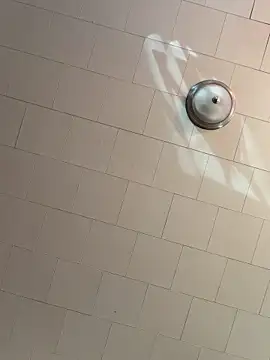 rosiebuddy online show from 9, 3, 2026