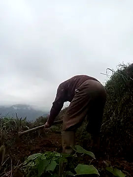 Snapshot of mon-monk chatting on 17, 12, 2025 mon-monk online show from 17, 12, 2025