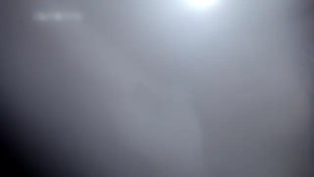 angel barbie online show from 23, 4, 2026