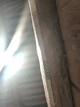 bae-asian online show from 8, 4, 2026