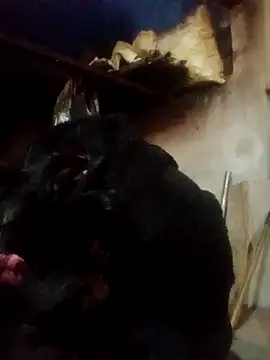 Amiluli online show from 2, 3, 2026