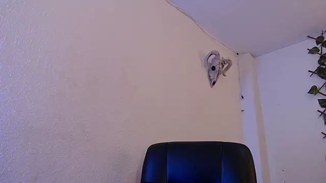 Snapshot of kingdani_hot chatting on 20, 12, 2025 kingdani hot online show from 20, 12, 2025