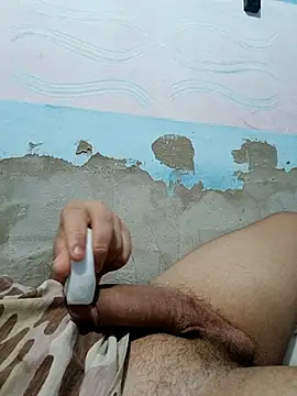 AVALIAminhaPika online show from 14, 2, 2026