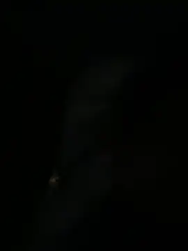 sofia-bae online show from 1, 4, 2026