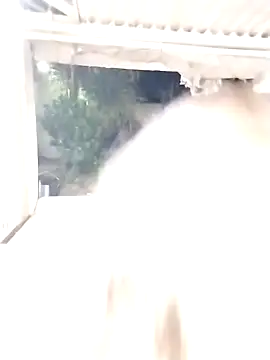 SexyAssQueenX online show from 14, 1, 2026