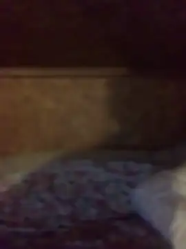 Ldnick69 online show from 25, 3, 2026