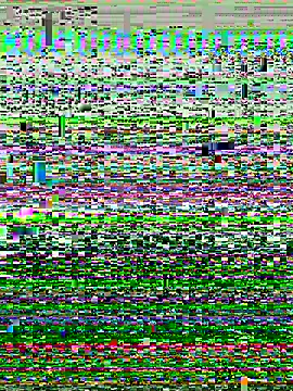 P0rco89 online show from 8, 1, 2026