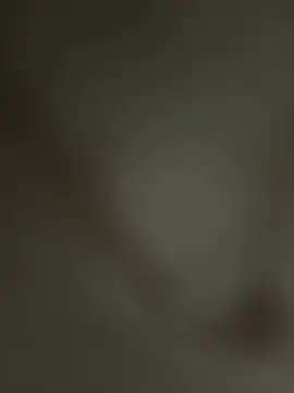 rahul ss21 online show from 25, 2, 2026