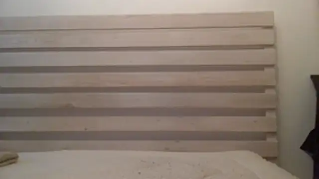 Palinchik online show from 12, 3, 2026