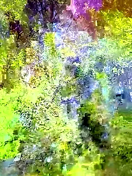 Andypie6 online show from 13, 1, 2026