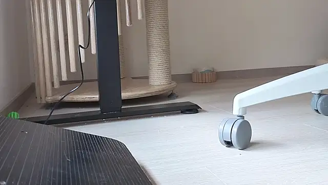 Feetbeth online show from 6, 2, 2026