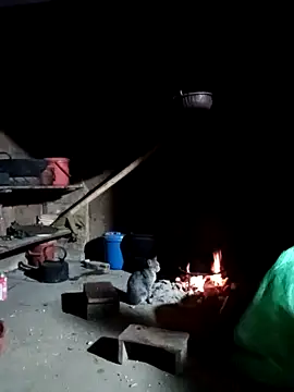 little-effy online show from 13, 12, 2025