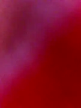 nosrat014 online show from 2, 2, 2026