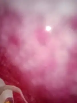 kusbu0077 online show from 19, 2, 2026