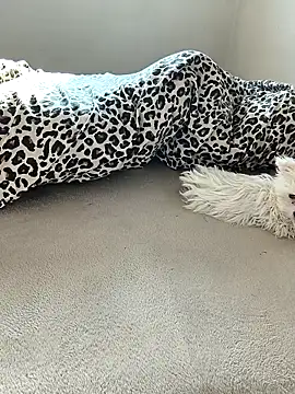 tenifer online show from 15, 12, 2025