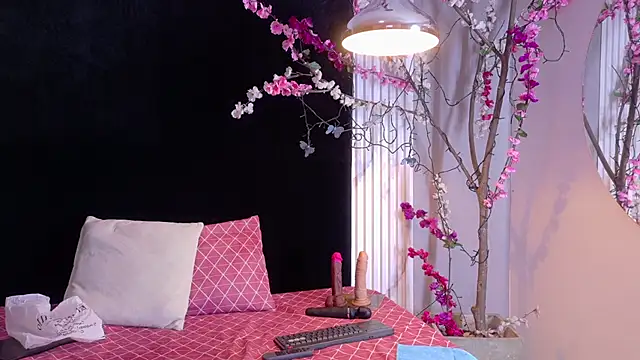 bella moonlight cr online show from 11, 3, 2026