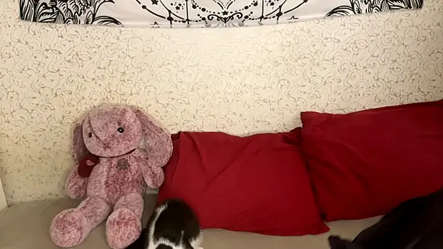 Snapshot of Shining_Robi chatting on 18, 12, 2025 Shining Robi online show from 18, 12, 2025