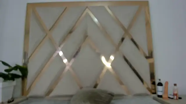 Snapshot of Selenaasm chatting on 31, 1, 2026 Selenaasm online show from 31, 1, 2026