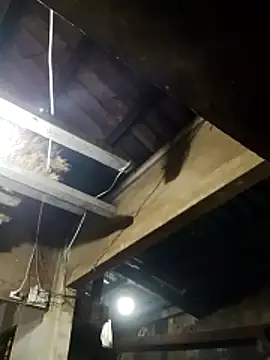  CTMay 77 online show from 21, 3, 2026