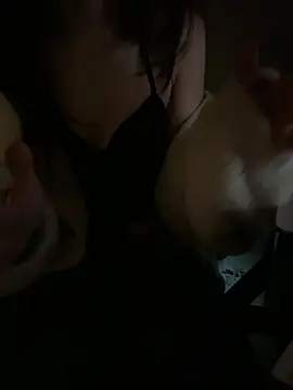 ddbb0000 online show from 17, 2, 2026